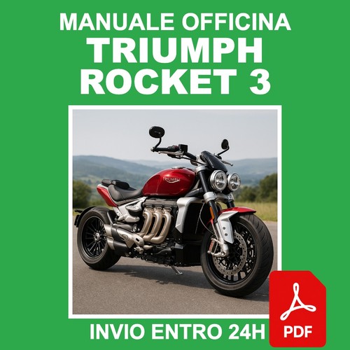 Workshop manual triumph - manual,