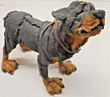 A Breed Apart Rottweiler Dog