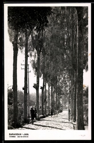 Postcard sarangan java - of,