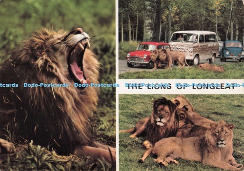 D278040 the lions longleat - of,