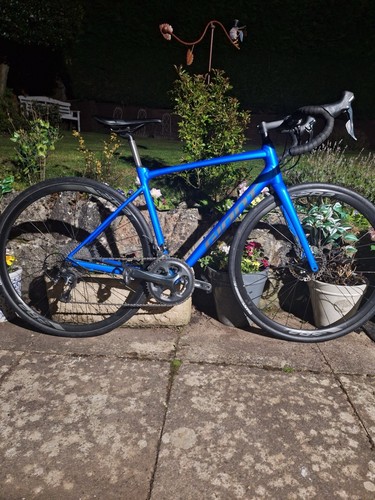 Giant contend medium road - giant,
