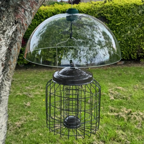 Squirrel proof hanging suet - proof,