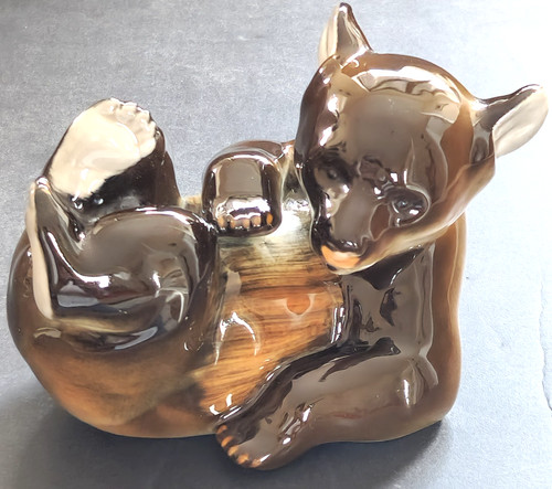 Lomonosov bear cub playing - cub,