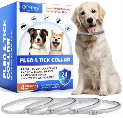 Dog flea tick - flea,