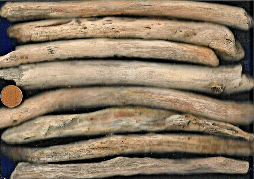 North sea driftwood - north,