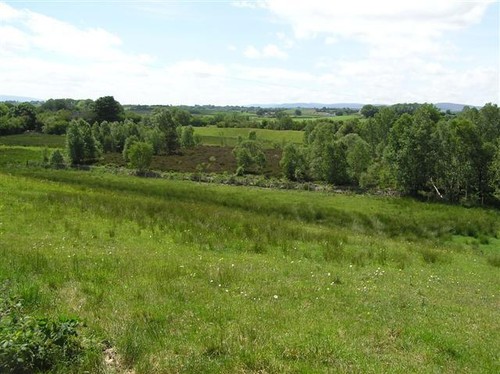 Photo 6x4 drumnameric hill - photo,