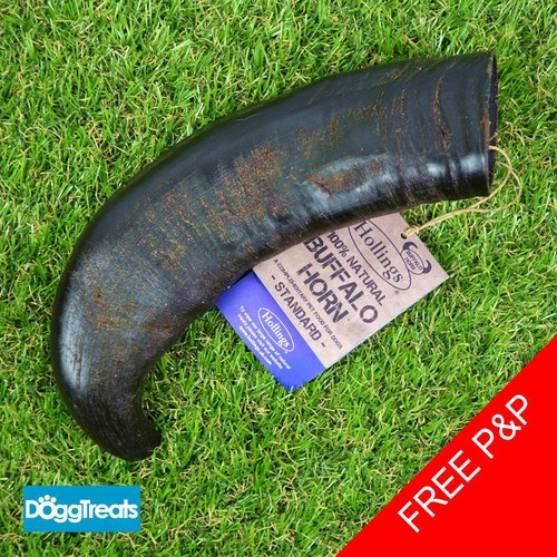 Buffalo horn dog - dog, chews