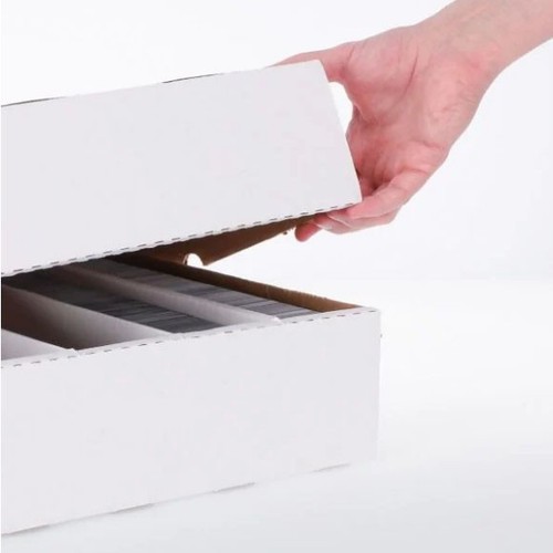 Guardz 4000 count - guardz,