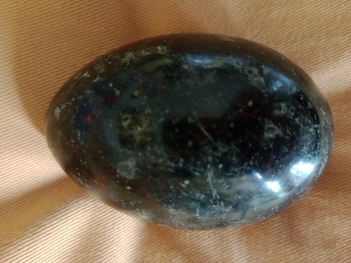Serpentine egg from the - from, lizard