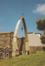Scotland Postcard - Whalebone Arch, Bragar, Isle of Lewis   VT452