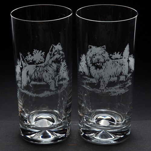 Cairn terrier dog highball - terrier,