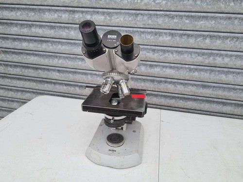 Zeiss standard microscope - standard, 15