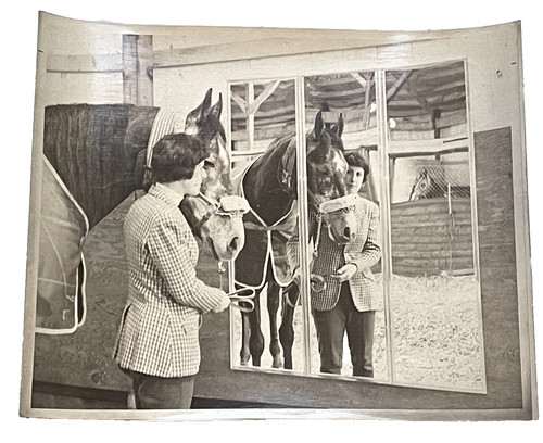 Vintage mcm 8x10 equestrian - vintage,