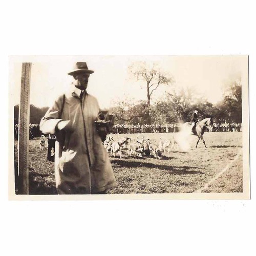 Braham moor fox - braham, hunt