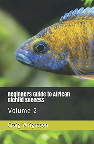 Beginners guide african - beginners, to