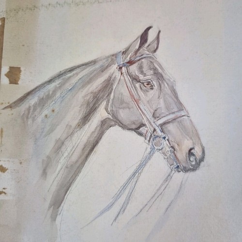 Vintage watercolour study a - watercolour,
