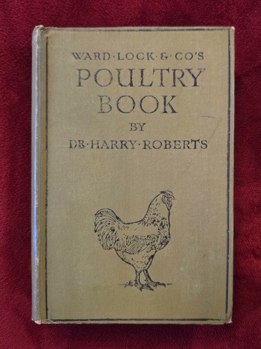 Vintage book ward lock co - vintage,