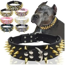 Spiked Rivet Studded Dog