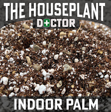 INDOOR PALM TREE Compost Soil