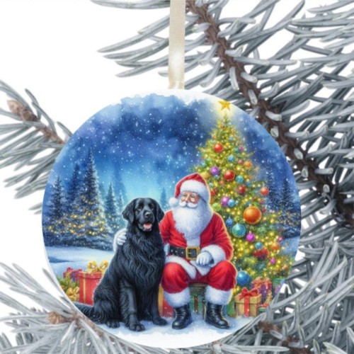 Flat coated retriever dog - coated,