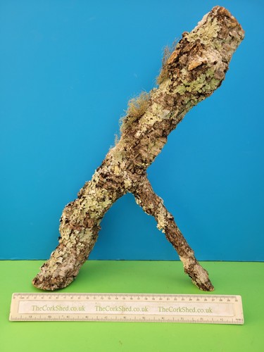 Cork bark branch 41cm - branch,