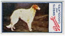 BORZOI  1924 JAMES PASCALL Ltd