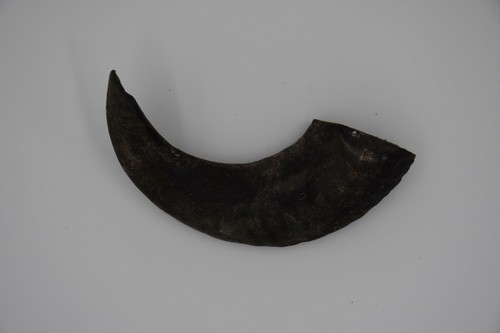 Lamb horn dog - dog, treats