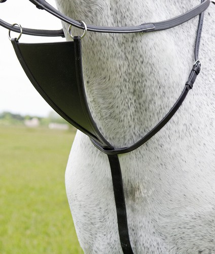 Shires blenheim bib - shires, martingale