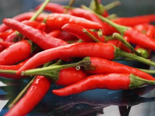 Red birds eye chili - red,