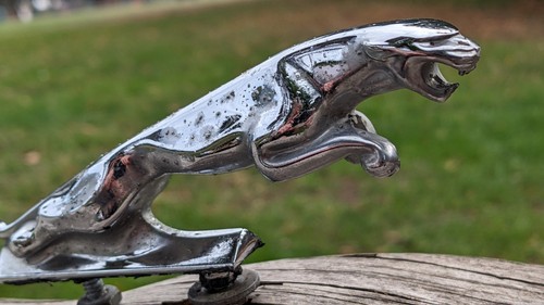 Original vintage 1960s jaguar - 1960s,