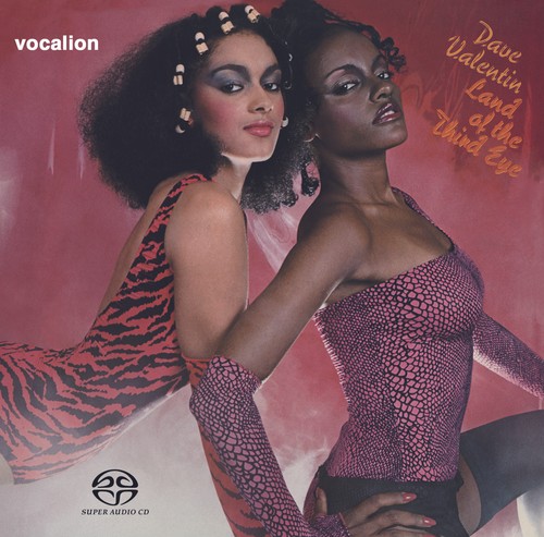 Dave valentin land - -,