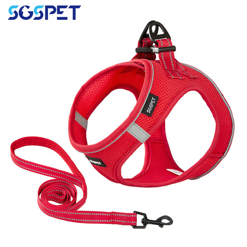 Small dog breathable mesh - breathable,