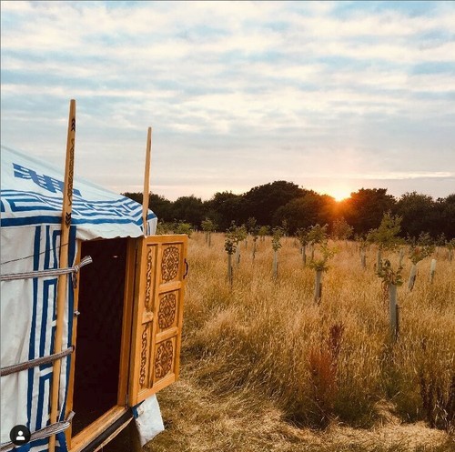 Traditional luxury mongolian - traditional,