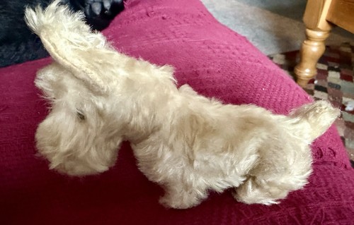 1930 steiff dog white mohair - 1930's,