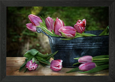 Tulips Framed Wall Art Poster