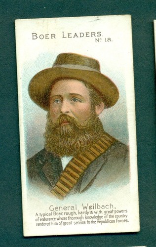 Taddy boer leaders - taddy, no.18