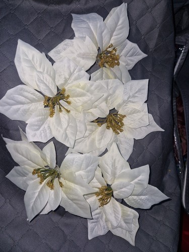 White poinsettia tree - ,