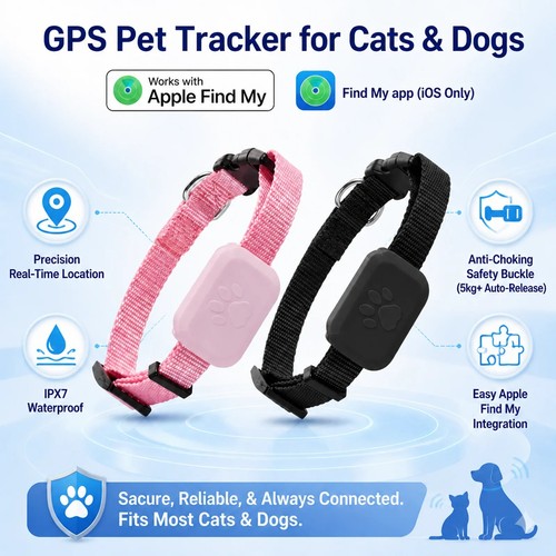 Pet cat dog - pet,
