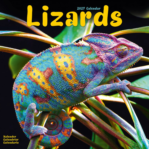 Lizards 2027 calendar - 2027, animal
