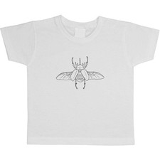 'Atlas Beetle Flying'