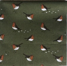 Sophie Allport Robin Bird on