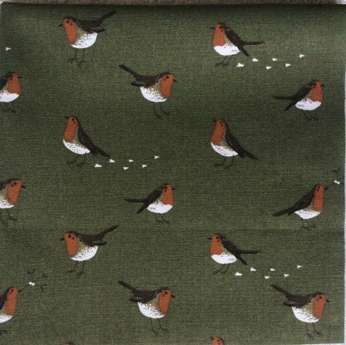 Sophie allport robin - allport, bird