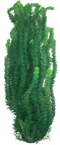Jumbo bushy aquarium pond - bushy,