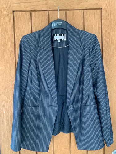 Principles pin stripe blue