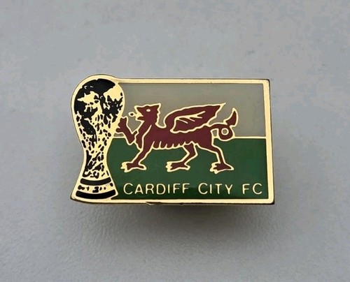 Cardiff city wales - vintage, pin