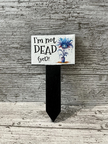 Plant pot slate markers - pot,