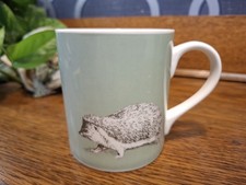 Regal Spencer Bone China Mug Hedgehog Vintage Retro Collectable Tea Coffee
