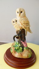 Border fine arts Barn Owl and