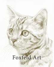 10 x 8" Custom Pencil Pet Portrait - any pet drawn from your photos