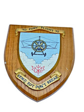 RAF squadron 219- 70 fury